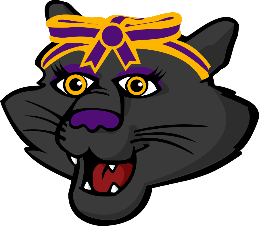 Northern Iowa Panthers 2021-Pres Mascot Logo diy iron on heat transfer